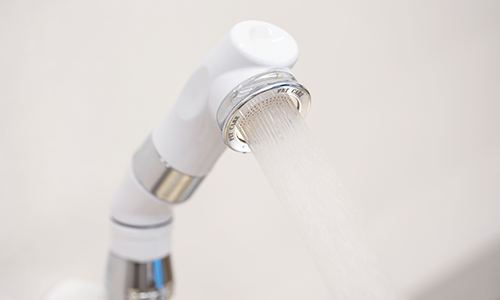 ボリーナ ペットケア