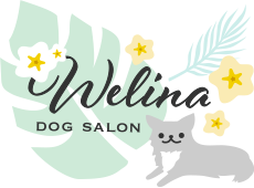 Welina DOG SALON